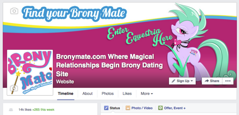 BronyMate 2022 Dating Revisión - ¿Este sitio es bueno o es una estafa?